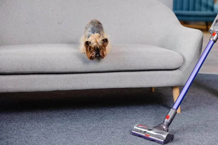 Housekeeping Services for Pet Owners