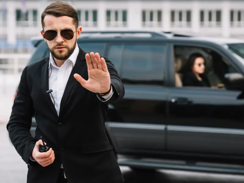 Professional Security Services